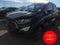 2019 Ford EcoSport SES